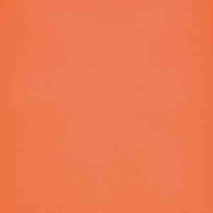 Линолеум FORBO Eternal Colour 40782 papaya фото ##numphoto## | FLOORDEALER